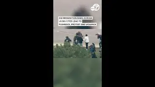 ICE immigration raids across US big cities lead to pushback, protest and violence