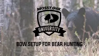 Bow Setup For Bear Hunting