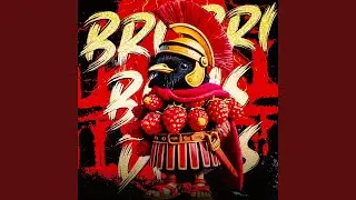 BRI BRI BICUS DICUS