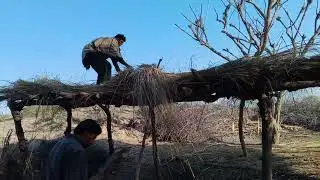 #shorts #tubewell #vlog #funny #camel #religion #valla munda#youtubeshorts