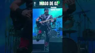 Fernando Mainer Rajac bajista de Mago de Oz      #magodeoz #bass  #metal