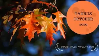 🎃TAURUS OCTOBER 2020🎃 CHOOSE YOU TAURUS ❤️ Astrology & Tarot