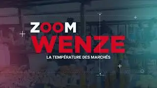 ZOOM WENZE - March&eacute; zoom des serrures