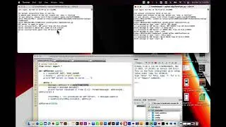 tcp/udp server/client MacOS/Windows in Python