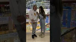 &laquo;Всё сдал!&raquo; - сервис помощи студентам