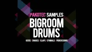 Pakotec Samples Bigroom Drums Vol 1