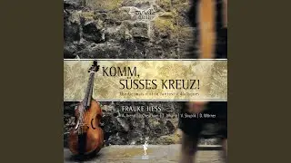 Sonata No. 4 for Violin, Viola da gamba and Basso Continuo in C Minor, BuxWV 262: III. Lento -...