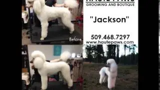 We are Haute Paws Grooming and Boutique! [Nine Mile Falls, WA]
