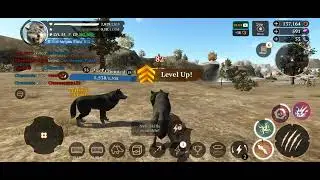 PvP Problems: How To Destroy and Get Destroyed | The Wolf: Part 140
