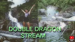 Double Dragon stream