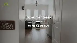 farmecul și caracterul practic al caselor din lemn