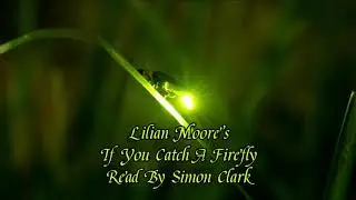 Lilian Moore's 