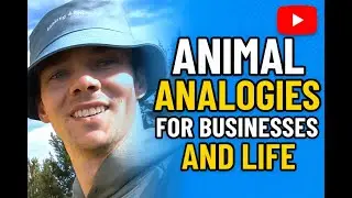 Animal Analogies For Membership Businesses and Life