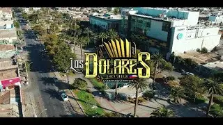 Dolares de Chile - Me sobrabas Tú  (VIDEO OFICIAL)