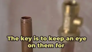 How Long Does Copper Pipe Last 🛠️