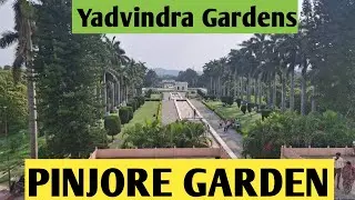 Pinjore Garden panchkula Haryana | yadvindra gardens pinjore | Best Place to visit near Chandigarh |