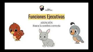 1. Juego de Atenci&oacute;n: sombra correcta. Dificultad media