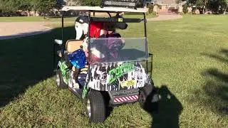 Super Hero Great Danes Go For A Zombie Golf Cart Ride
