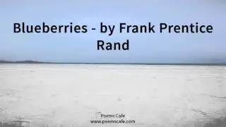 Blueberries   by Frank Prentice Rand
