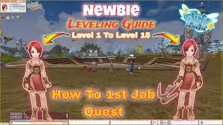 Flyff Universe - Mobile/PC Games MMORPG - For Newbie Player Guide - Leveling