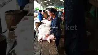 Traditional Asian Market Life: Middle-Aged Women Selling Piglets in Muddy Village Market
