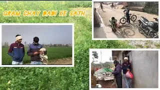 Dadi ke sath aj Chay pili 😊