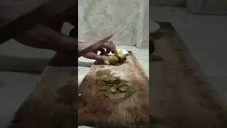 🎥 June Plum Cutting | Fresh, Juicy & Satisfying Fruit Prep