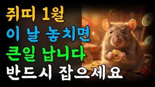쥐띠 2026년 1월 운세 재물운 대폭발! 로또 당첨 가능? 연도별 행운숫자 완벽 분석 | 병오년 신년운세