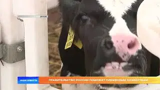 Russian government to help breeding farms