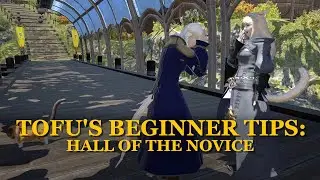 FFXIV Beginner's Guide for New Players: Hall of the Novice