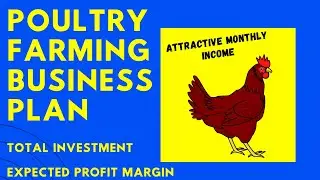 Poultry Farming Business | Investment & Expected Income | Business Plans and Ideas | #Innovatideas