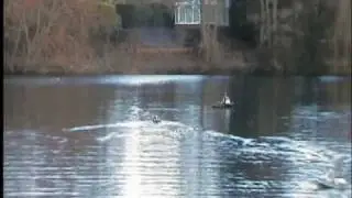 Andover model boat club - UK