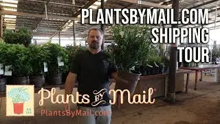 Plantsbymail.com Tour - Picking, Boxing, and Shipping Mail Order Plants