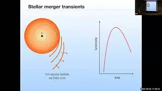 Stellar Mergers and Common Envelope Phases as Astronomical Transients