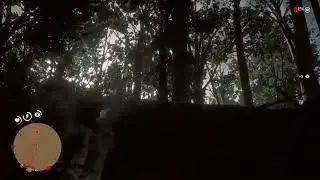 Murfree Brood Pit-Fall Trap All Dialogue + Location - RDR2