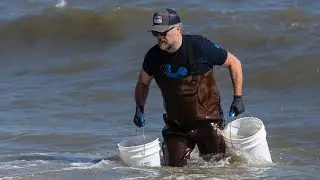 Sea salt is hand-harvested at Cape Henlopen in Delaware