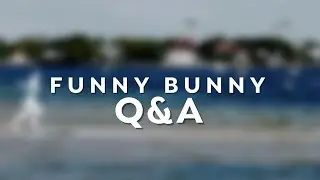 Funny Bunny Q&A