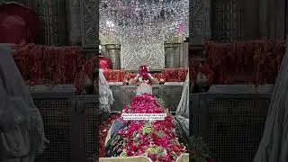 mira datar dargah sharif New qawwali whatsapp 😍status video 📷 dargah sharif contact +917383844392