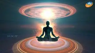 Kundalini Sakra I குண்டலினி சக்கரம் IProf.Damotharan I Sky Yoga Tv -Avadi