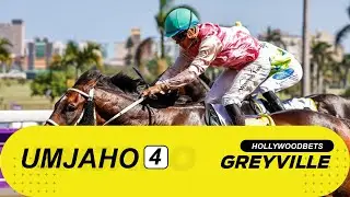 20260102 isiZulu Hollywoodbets Greyville Race 4 won by MASTER DU ROUVRAY