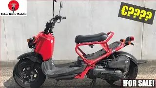 Honda Zoomer 50 - Honda zoomer 50 (ride & review) zoomer in red?-  Honda zoomer 50