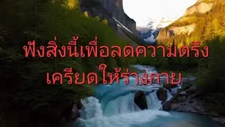 #เพลงผ่อนคลายที่ไพเราะ #entspannungsmusik #wellnessmusik 14/2/ 2025