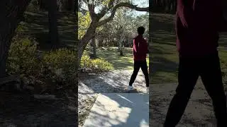 Easy eagle for Titus