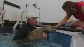 Dog Water Therapy