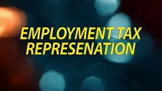 Employment Tax Representation
