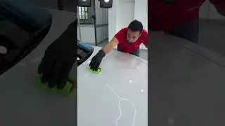 Solodettagli Lion