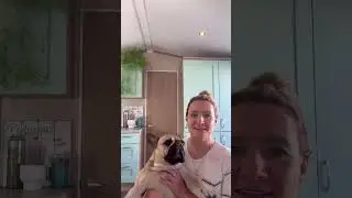 How Dogs Help With Loneliness & Isolation