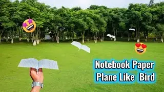 Notebook Paper Bird 🕊️| paper plane like bird |paper craft |DIY Bird #trending #viral #papercrafts 