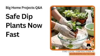 Soap And Pyrethrin Nursery Dip Safety Guide