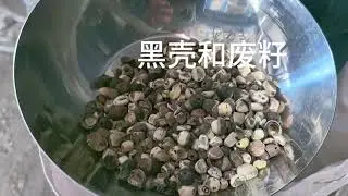 AMD Lotus seed multi-sorting and multi-selection color sorter/sortex machine meets different needs